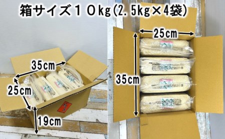 無洗米 長崎 ひのひかり 計10kg （2.5kg×4袋）チャック ＆ 酸素検知付き 脱酸素剤でコンパクト収納 ＆ 長期保存 長崎市 深堀米穀店[LEW024]