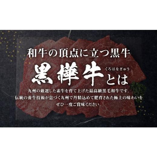 ふるさと納税 熊本県 人吉市 くまもと黒毛和牛  杉本本店 黒樺牛 A4~A5等級 モモステーキ 100g×10 計1kg