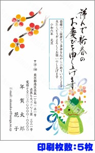 全328柄 2024年度版 辰年 郵政お年玉付き年賀はがき 年賀状印刷 フルカラー年賀状 209pr