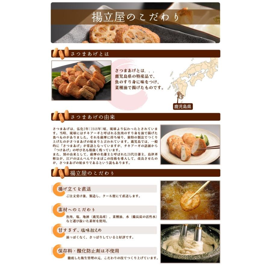 揚立屋 さつま揚げ ギフト 送料無料 ネット限定  鹿児島