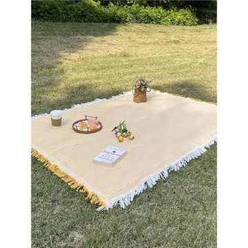 戶外露營野餐墊帳篷地墊法式加厚拍照墊子沙灘墊桌布草地白色毯子