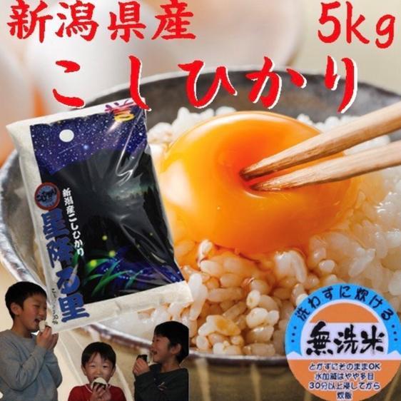 米・穀物 無洗米 新米新潟県産コシヒカリデラックス5キロ無洗米令和5年産 産地直送