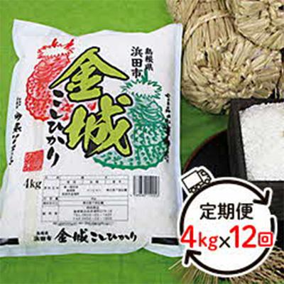 ふるさと納税 浜田市 2024年1月発送開始『定期便』浜田市金城町産こしひかり　4kg×全12回