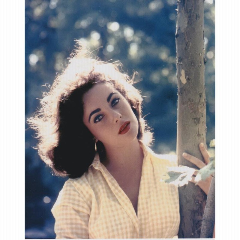 エリザベステイラー Elizabeth Taylor 輸入 写真 洋画 約20.3x25.4cm 10037 | LINEブランドカタログ