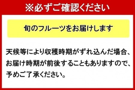 沖縄フルーツ定期便（8・9・10月コース）