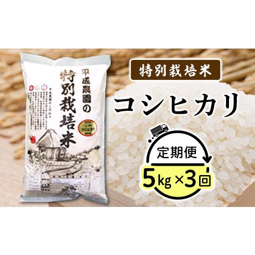 ふるさと納税 長野県 長野市 J0880コシヒカリ 5kg特別栽培米（平成農園）