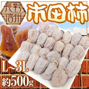 長野・南信州産 ”市田柿” L～3L 約500g 送料無料