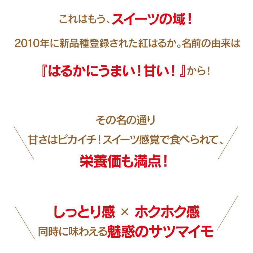 さつまいも 紅はるか 5kg 送料無料 熊本産 生芋 さつま芋 唐芋 からいも べにはるか ＜予約2023年12月上旬より出荷予定＞