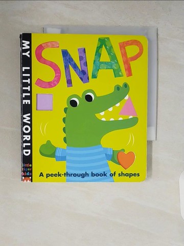 【書寶二手書T2／少年童書_V17】Snap_Jonathan Litton