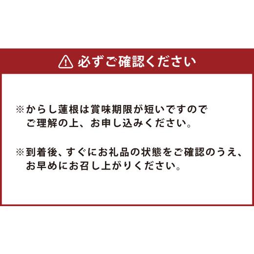 ふるさと納税 熊本県 水俣市 ふるさとセット からし蓮根×2本 肥後天×3個 燻製蒲鉾×4本