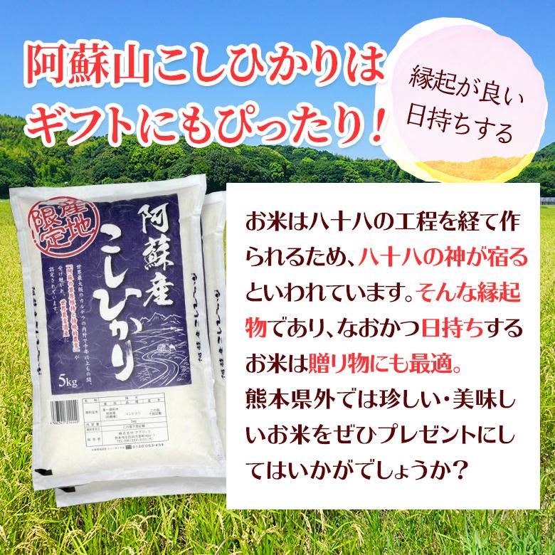 阿蘇産 こしひかり10kg(5kg×2袋）白米 熊本県 おすすめ おいしい おにぎり お弁当 送料無料