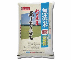 幸南食糧 無洗米秋田県産あきたこまち 5kg×1袋入×(2ケース)｜ 送料無料