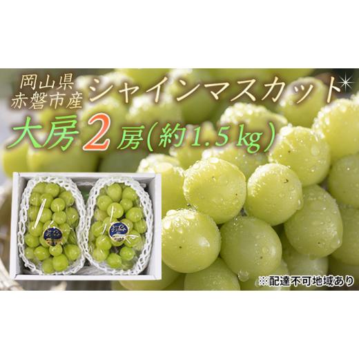 ふるさと納税 岡山県 赤磐市 ぶどう 2024年 先行予約 シャイン マスカット 大房 2房 約1.5kg 秀品 ブドウ 葡萄 岡山 赤磐市産 国産 フルーツ 果物 ギフト