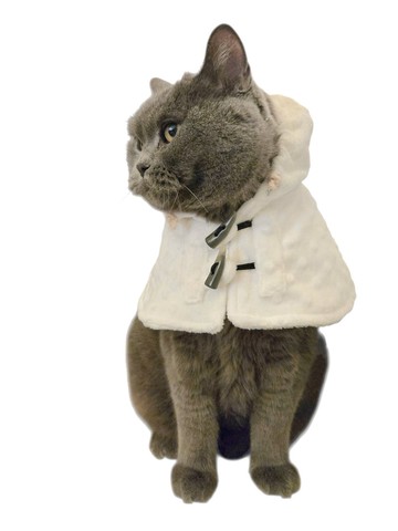 披肩連帽領圍 - 棉滌混紡