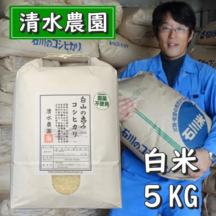 お米 白米 5kg コシヒカリ 令和5年産 2023年産 石川県産 特別栽培 栽培期間中農薬不使用