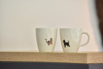 台灣原生動物小咖啡杯