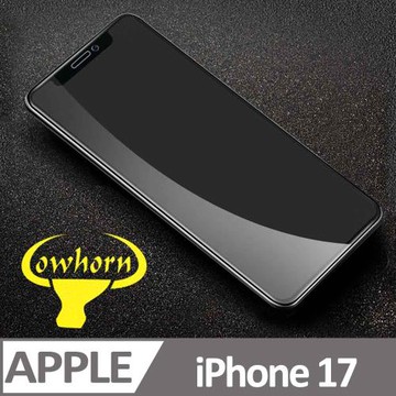 iPhone 17 2.5D曲面滿版 9H防爆鋼化玻璃保護貼 黑色