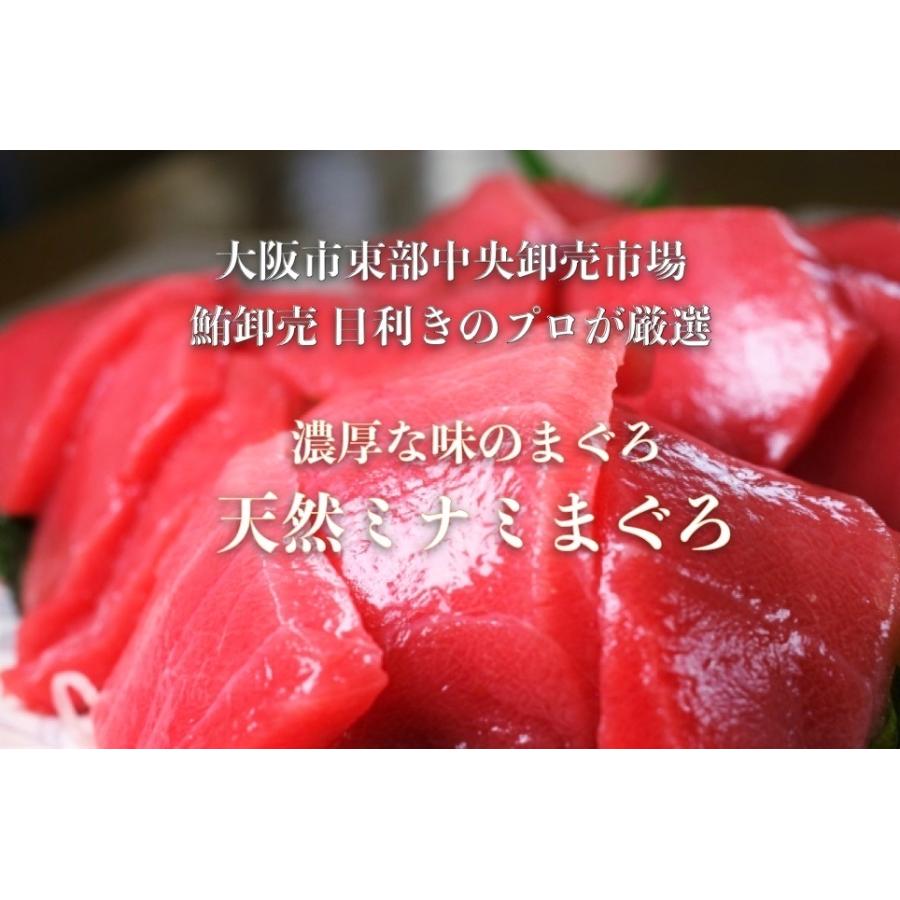 天然ミナミマグロ柵　赤身柵（500g）