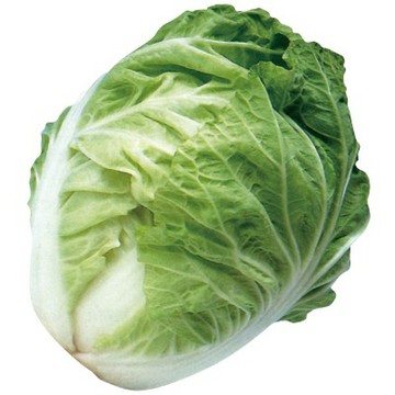 【拈花微笑】新元寶白菜｜種子｜1g｜非基因改造種子｜蔬菜｜蔬果｜有機無毒｜高發芽率