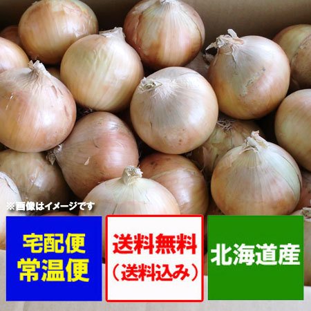 北海道 玉ねぎ 5kg 送料無料 北海道産 たまねぎ 5kg Lサイズ 共撰 野菜 玉ねぎ   タマネギ   玉葱