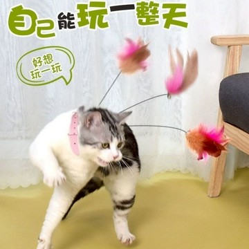 🐱貓玩具 貓項圈玩具 逗貓神器 逗貓羽毛棒 可替換羽毛 貓咪自嗨解悶玩具 寵物互動玩具 逗貓玩具 寵物玩具 貓咪自嗨項圈