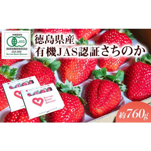 ふるさと納税 徳島県 とくしまオーガニックいちご（380g以上×2段）