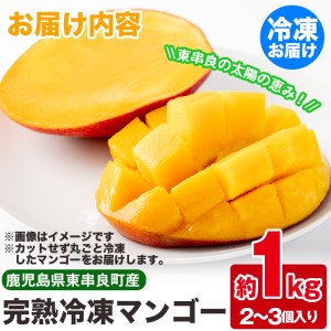 《数量限定》鹿児島県産！南国の恵み！まるごと冷凍完熟マンゴー約1kg(2-3個)