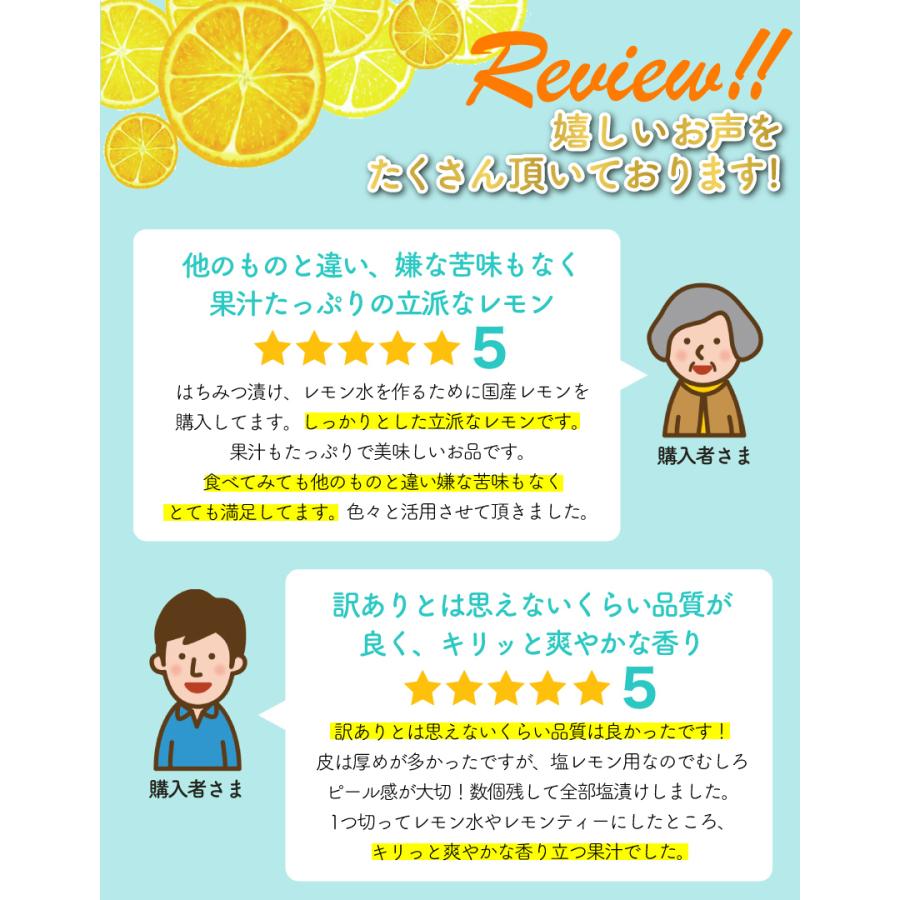 低農薬 国産 レモン 5kg 訳あり 愛媛 瀬戸内 大三島 ore