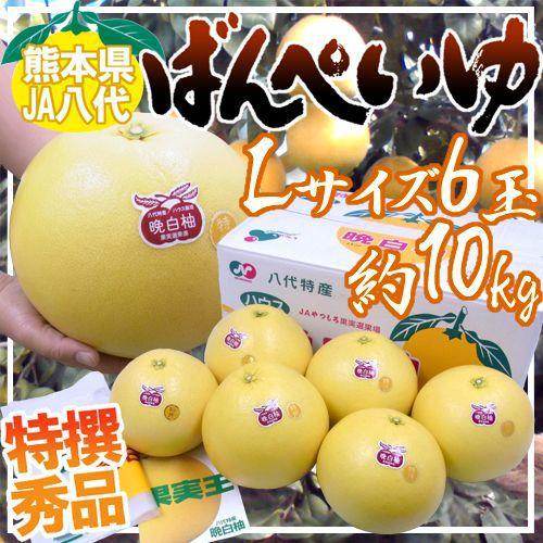 熊本県八代特産 ”晩白柚” ばんぺいゆ 秀品 Lサイズ 6玉 約10kg（1玉重量約1.6kg前後） 化粧箱 送料無料