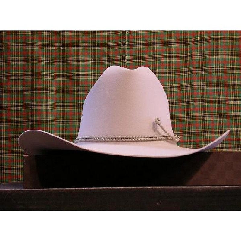 Bailey ウエスタンハット　5x ビーバー Vintage Bailey 5X Beaver Graphite Champion Western Hat Size 7 1/4