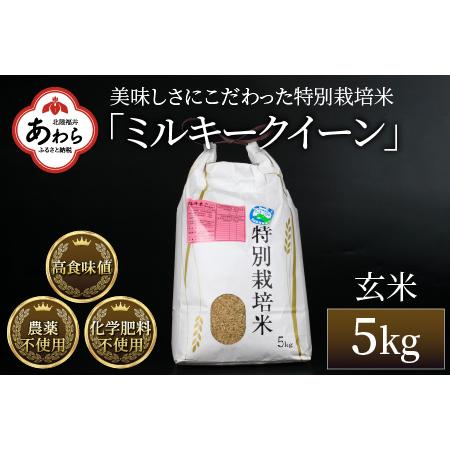 ふるさと納税 特別栽培米 ミルキークイーン 玄米 5kg 農薬不使用 化学肥料不使用 ／ 高品質 鮮度抜群 福井県産 ブランド米 .. 福井県あわら市