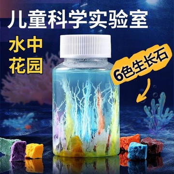✨寶貝嚴選✨ 儿童科学实验室 6色长生石 水中花園 兒童益智玩具 科學實驗套裝 小學生趣味DIY手工 安全环保材