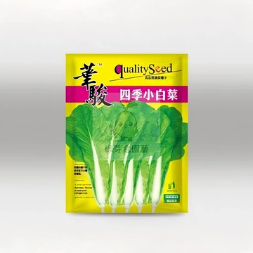 🌱【原裝白菜種子】四季小白菜 出芽率超95% 耐寒耐熱性強 早熟品種 速生快長 易種植 抗病性強 盆栽 快菜蔬菜種子