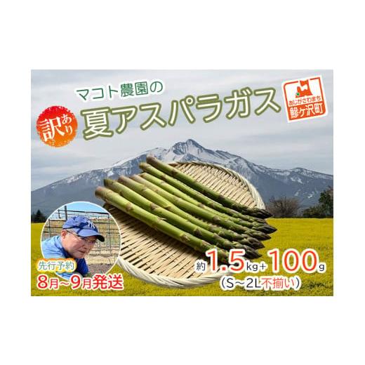 ふるさと納税 青森県 鰺ヶ沢町 マコト農園の夏アスパラガス！約1.5kg 100g（S〜2L不揃い）青森県鰺ヶ沢町産