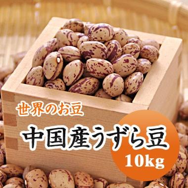 豆 うずら豆 中国産 送料無料10ｋg