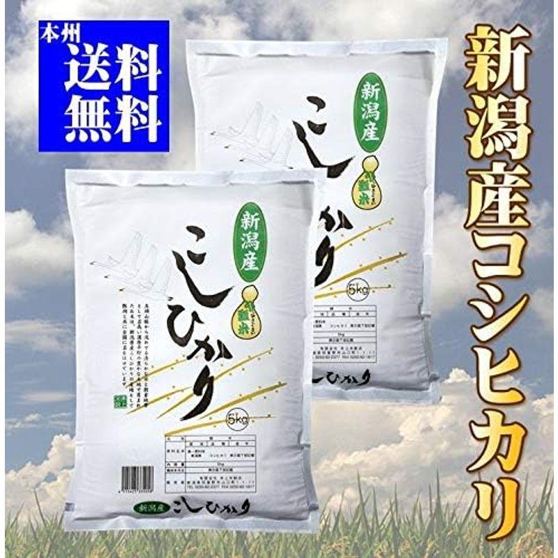 新潟県産 コシヒカリ 令和3年産 精米 ５ｋｇ×２袋 （１０ｋｇ）