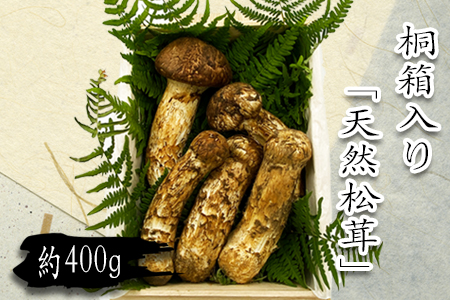 山形県産「天然松茸（まつたけ）」約400g(桐箱入)_H086(R6)