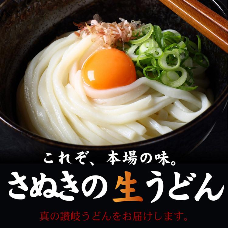 うどん 讃岐 生うどん 9食セット 麺のみ 讃岐うどん 普通麺 築地ばんや 贈答 メール便限定 ポスト投函 常温便 お取り寄せグルメ 食品 ギフト