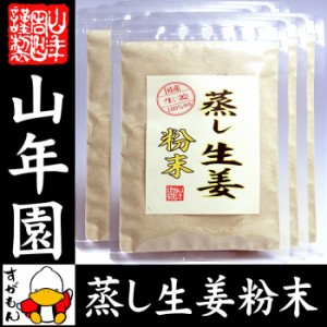 蒸し生姜 粉末 45g×6袋セット 熊本県産 蒸ししょうが 送料無料 お茶 お歳暮 2023 ギ