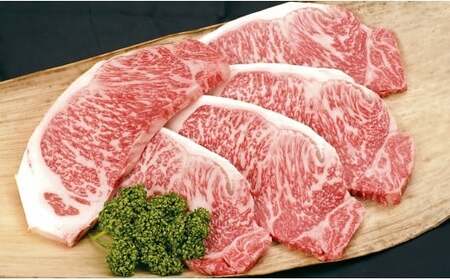 純近江牛ロースブロック肉 1.6kg [0360]