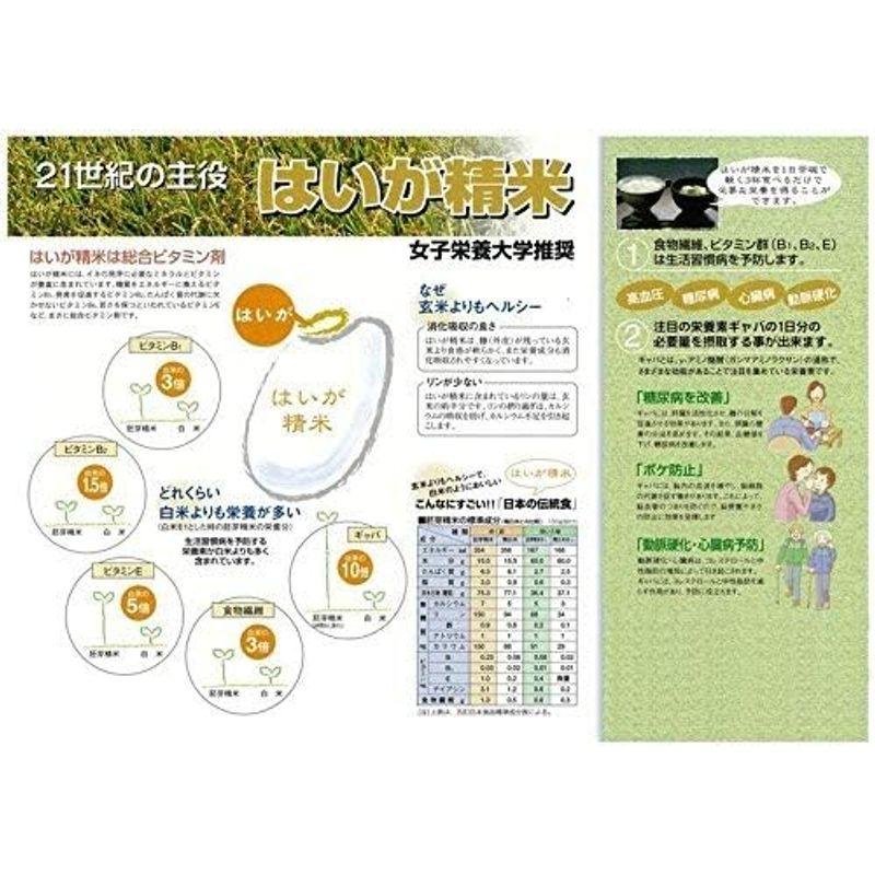 4年産 ひのひかり胚芽米 20kg (5kg×4袋) 岡山県産 お米