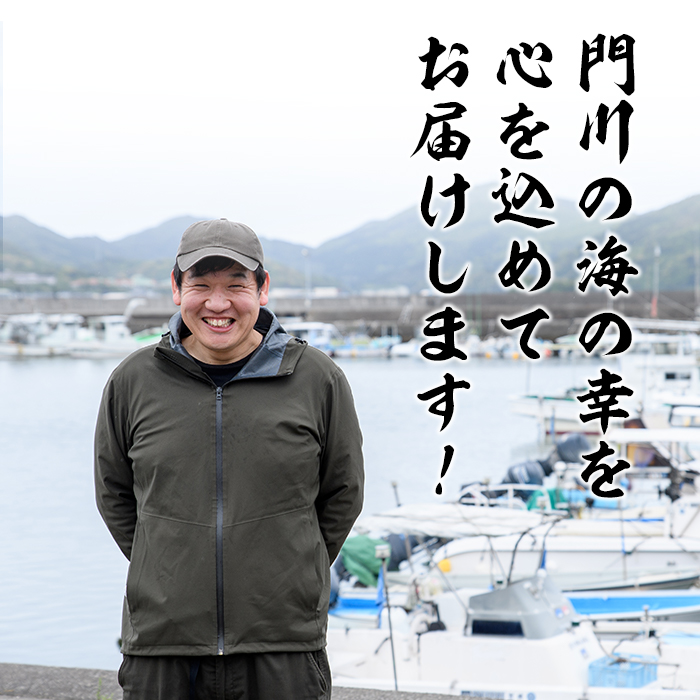 ＜訳あり＞岩田水産の「門川産訳あり干物」(合計3.2kg以上・5種以上)