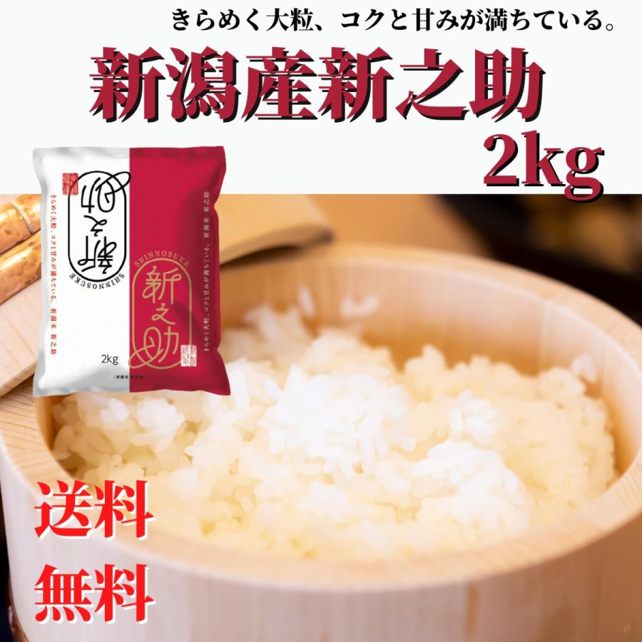 新米 令和５年産 米 お米 新潟県産 新之助 精米 2kg 送料無料