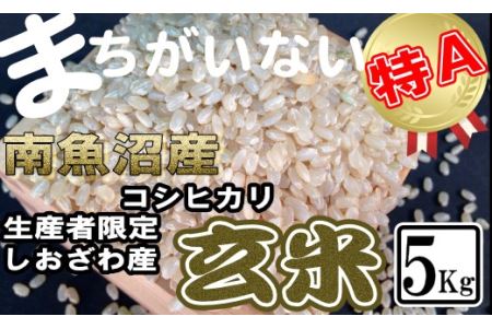 玄米 生産者限定 南魚沼しおざわ産コシヒカリ5Kg