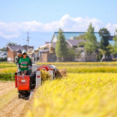 ふるさと納税 十日町市 生産農家直送!生産地・生産者限定魚沼産コシヒカリ「イネノハ」精米(10kg×1袋)