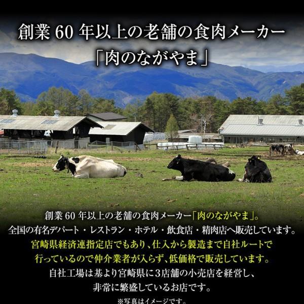 宮崎県産 黒毛和牛 カルビ 宮崎牛 A4ランク以上 カルビスライス 500g 冷凍