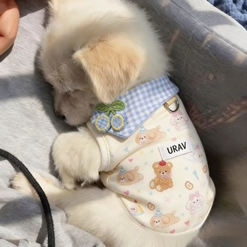 免運🔥本土發貨春夏薄款可牽引透氣寵物狗狗貓咪專用可愛背心服飾泰迪比熊小型犬