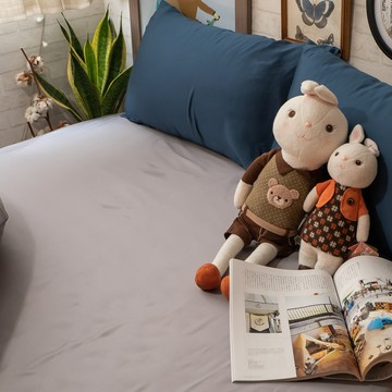anna home 棉床本舖 羅蘭Roland 天絲60支床包 + 枕套  佛系灰  King Size(210 x 180cm)