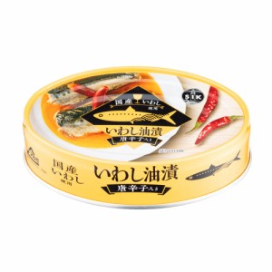 信田缶詰 国産いわし油漬け 100g×48缶 送料無料(沖縄・離島を除く)