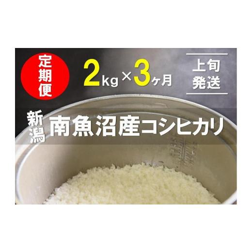 ふるさと納税 新潟県 南魚沼市 2kg×3ヶ月　南魚沼産コシヒカリ